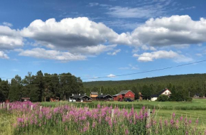 Roste Hyttetun og Camping